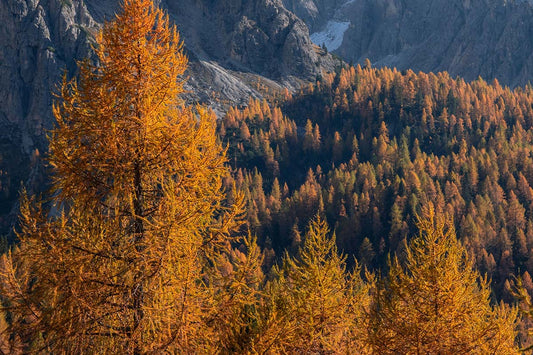 Die richtigen Beanies, Neckwarmers und Headbands von HAE für den Herbst