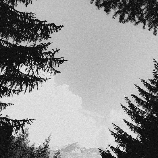 Kletterhosen mit Aussicht.