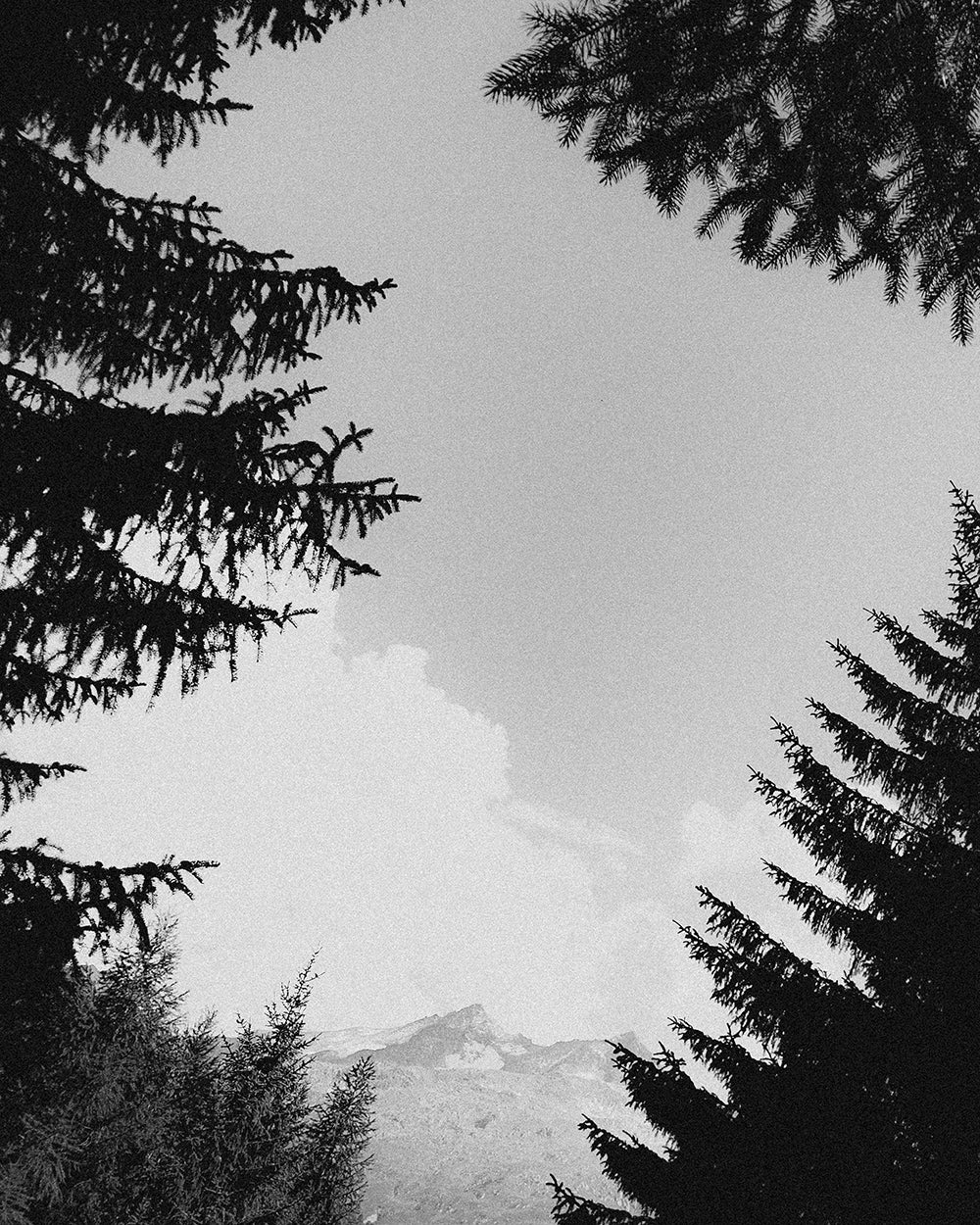 Kletterhosen mit Aussicht.