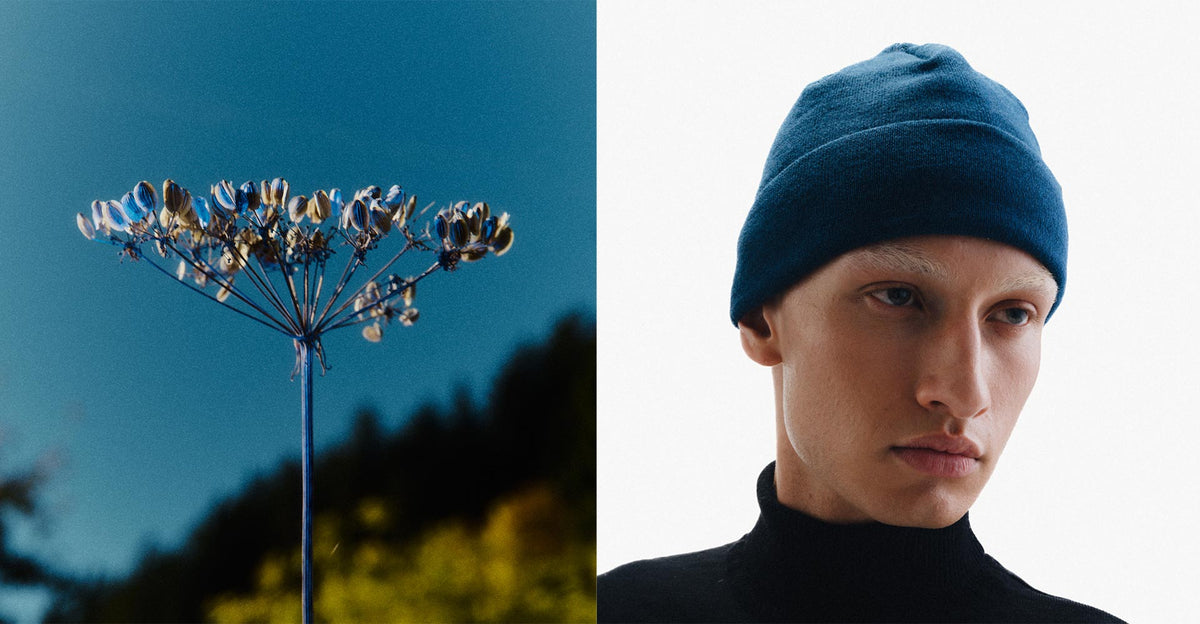 Schweizer Alpenblume und daneben ein Model mit einer Mütze von HAE aus recyceltem PET und Merinowolle in blau.