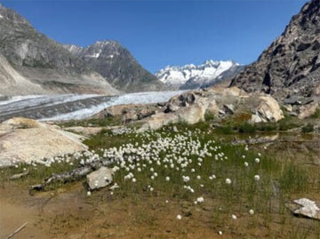 Gletscherwanderung ohne alpine Vorkenntnisse HAE