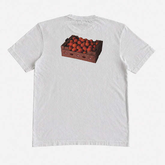 HAE Aprikose Shirt Rückseite