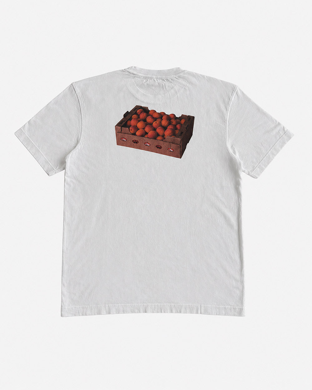 HAE Aprikose Shirt Rückseite