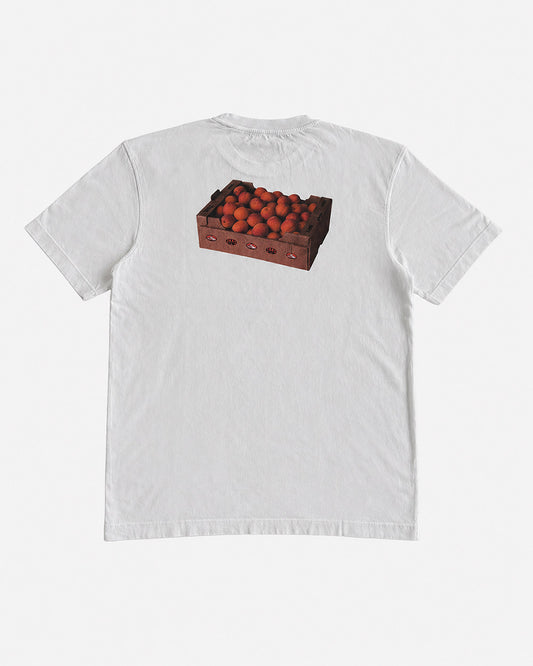 HAE Aprikose Shirt Rückseite