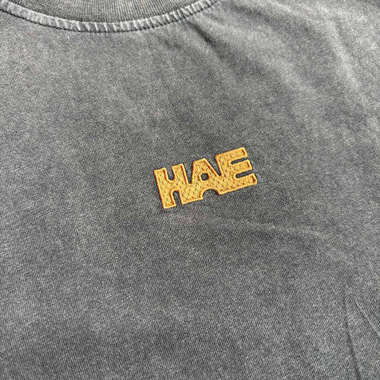 HAE Traverse Shirt washed out front